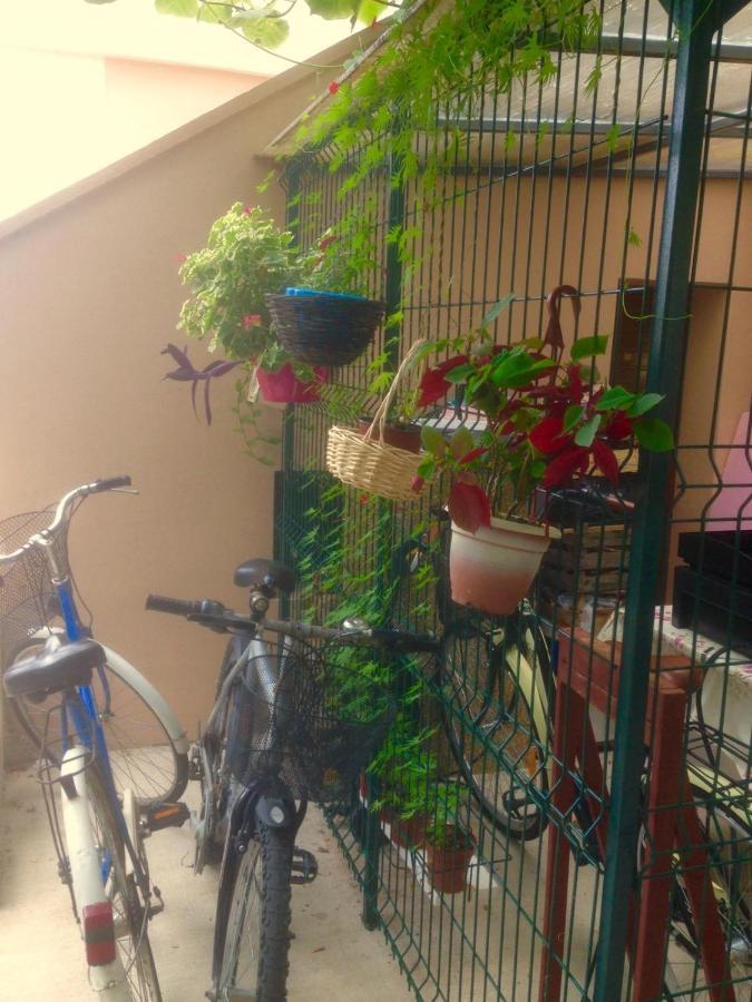 Apartment Dunja Djenovici Herceg Novi Luaran gambar