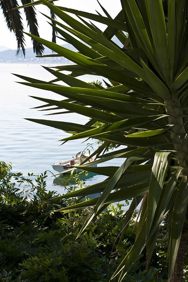 Apartment Dunja Djenovici Herceg Novi Luaran gambar